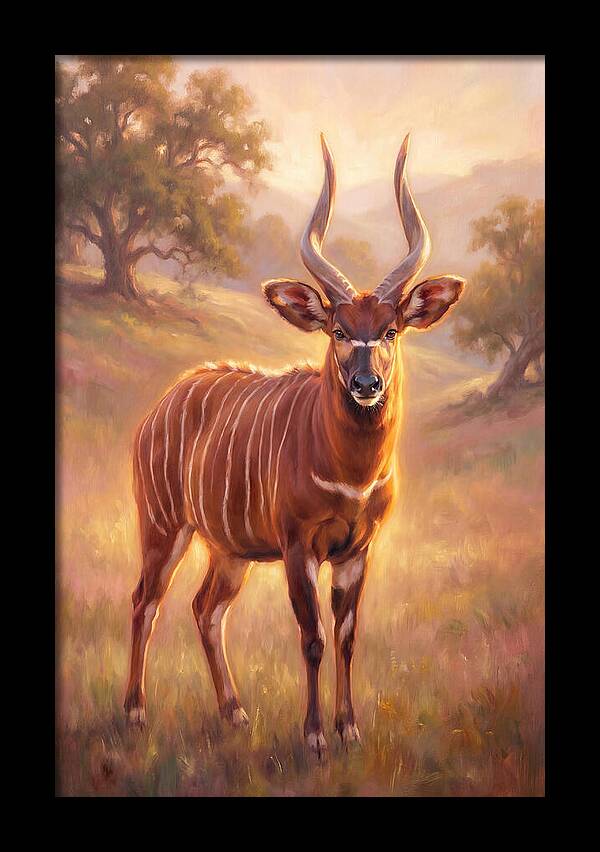 Bongo In Light