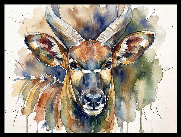 Bongo Watercolor Portrait