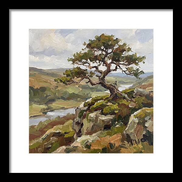 Bonsai On The Cliffside