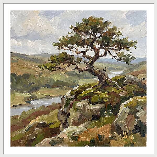 Bonsai On The Cliffside
