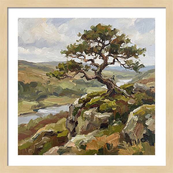 Bonsai On The Cliffside