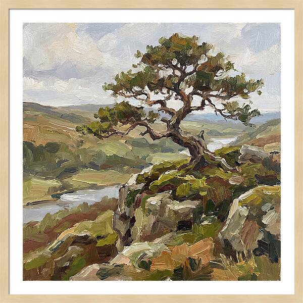Bonsai On The Cliffside