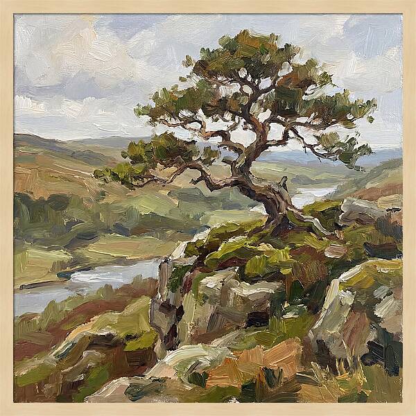 Bonsai On The Cliffside