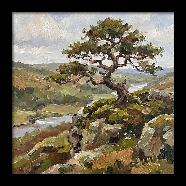 Bonsai On The Cliffside