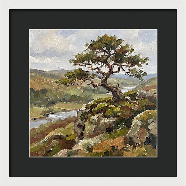 Bonsai On The Cliffside