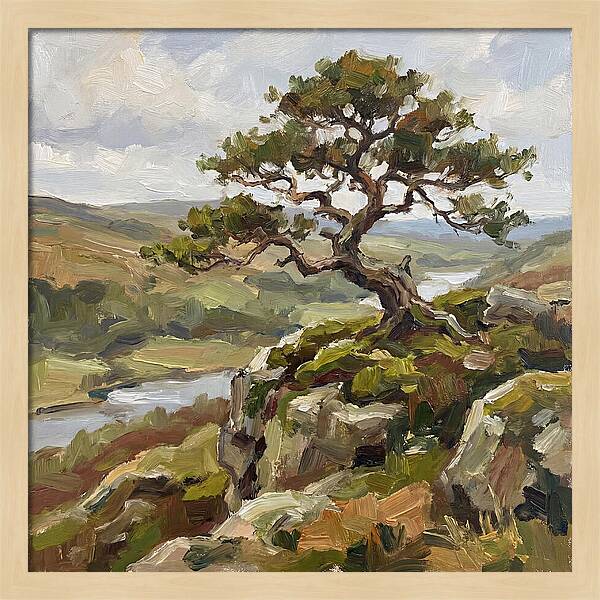 Bonsai On The Cliffside