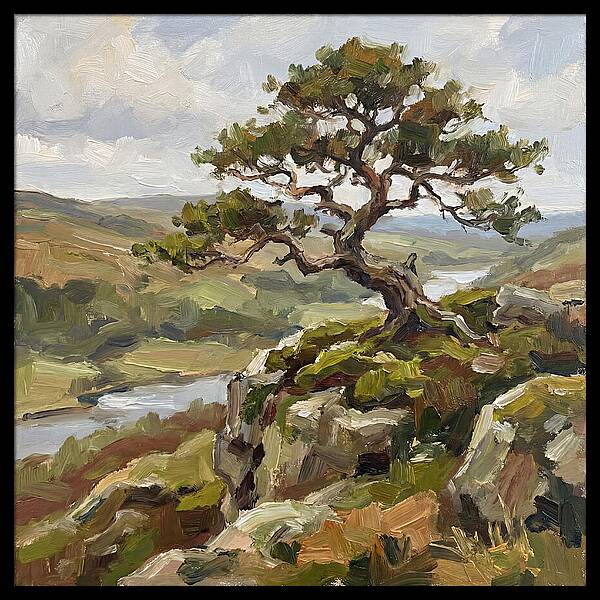 Bonsai On The Cliffside
