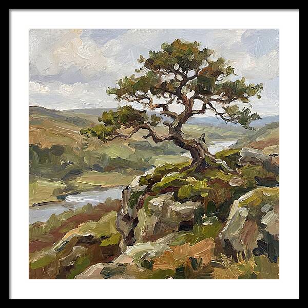 Bonsai On The Cliffside
