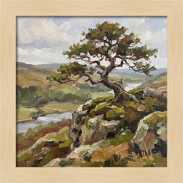 Bonsai On The Cliffside