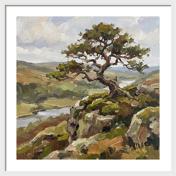 Bonsai On The Cliffside