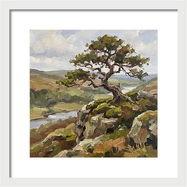 Bonsai On The Cliffside