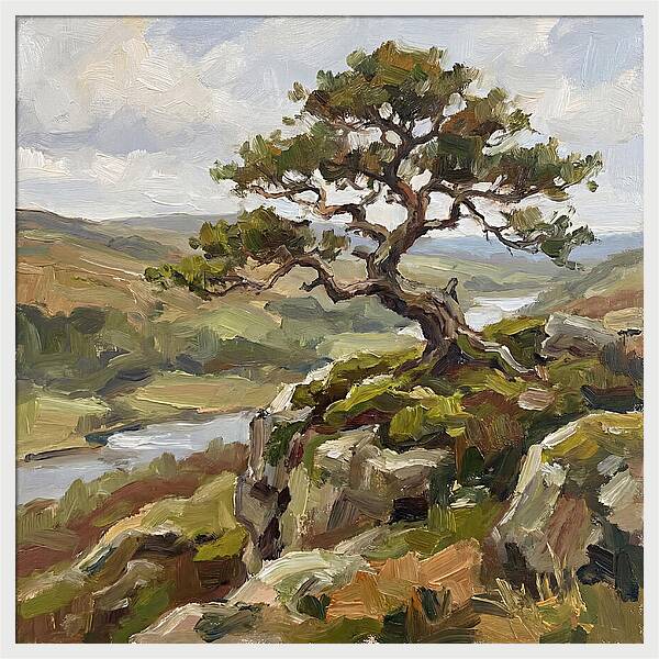 Bonsai On The Cliffside