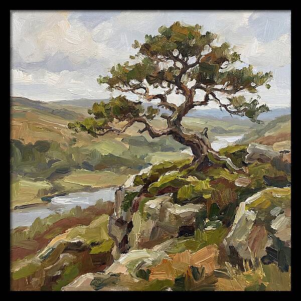 Bonsai On The Cliffside