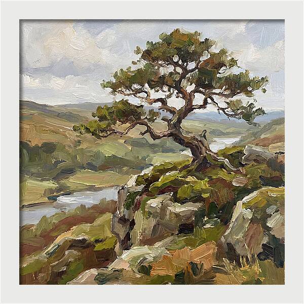 Bonsai On The Cliffside