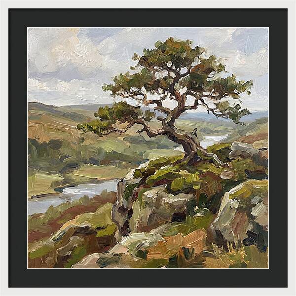 Bonsai On The Cliffside