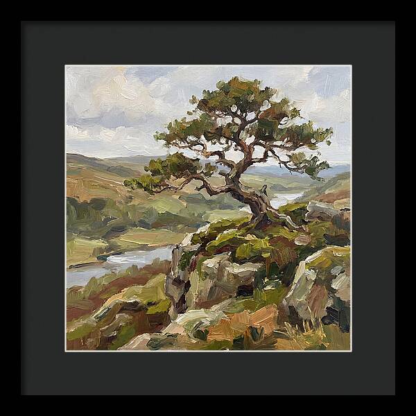 Bonsai On The Cliffside