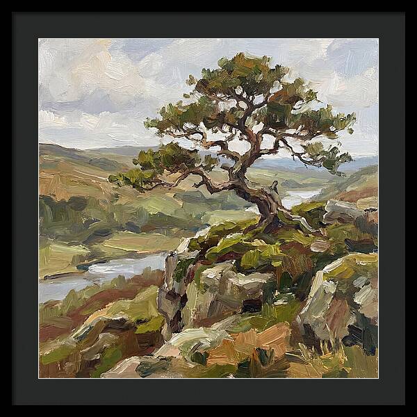 Bonsai On The Cliffside