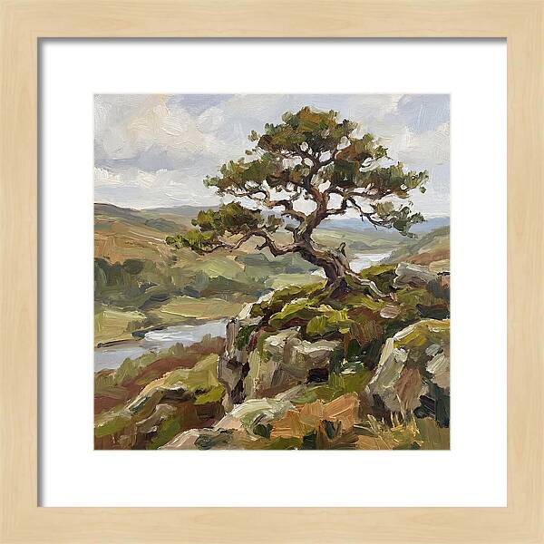 Bonsai On The Cliffside