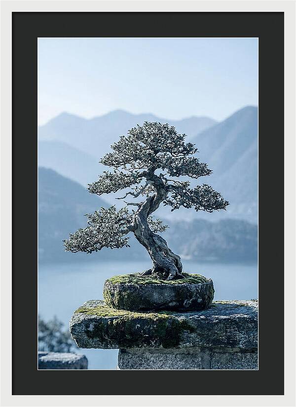 Bonsai Serenity Amidst Nature