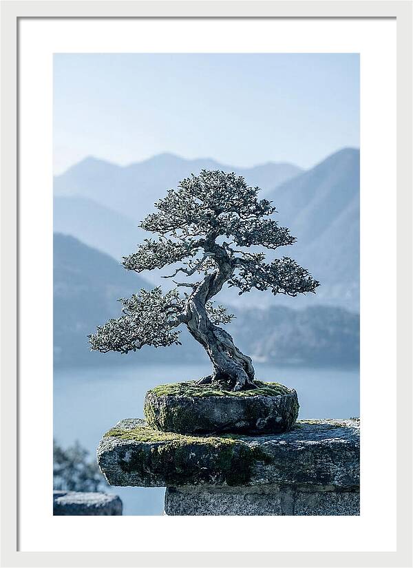 Bonsai Serenity Amidst Nature