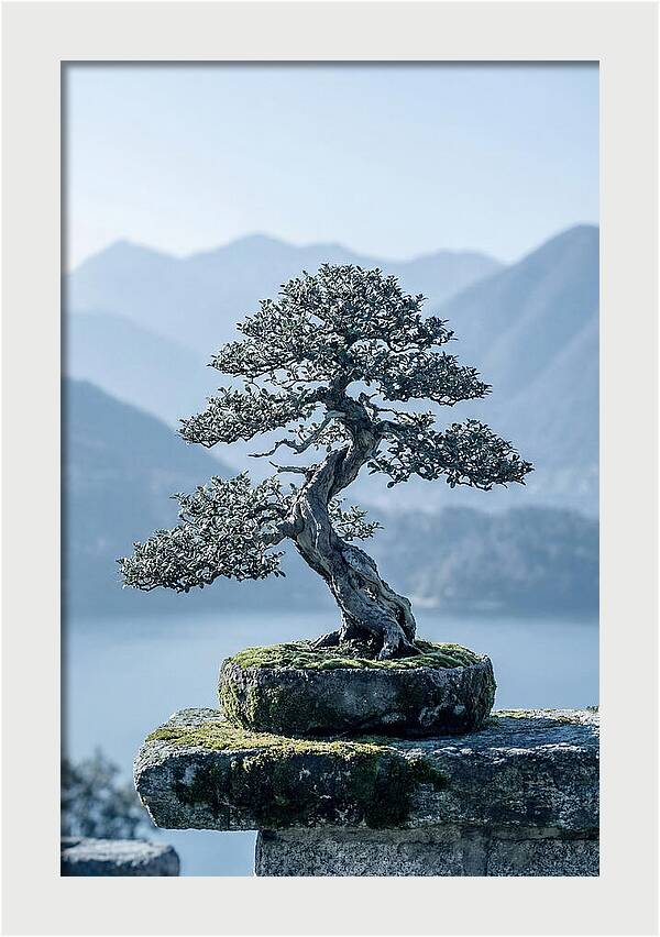 Bonsai Serenity Amidst Nature