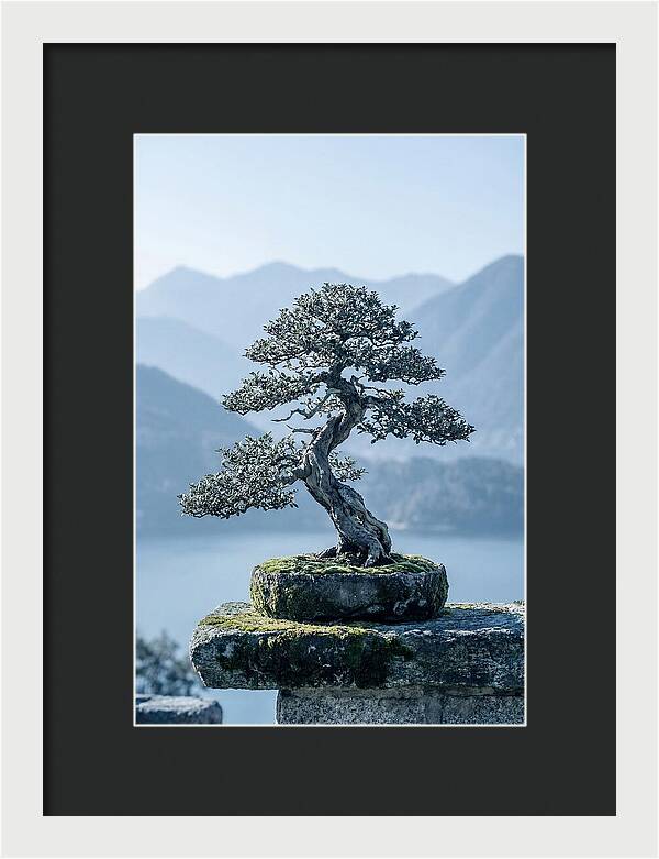 Bonsai Serenity Amidst Nature