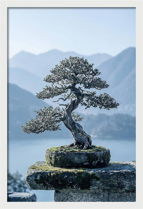 Bonsai Serenity Amidst Nature