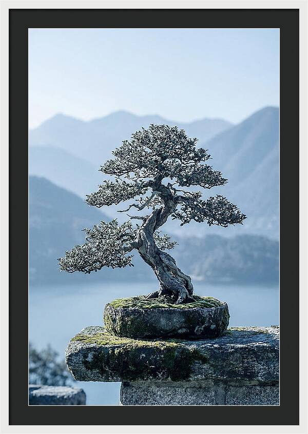 Bonsai Serenity Amidst Nature