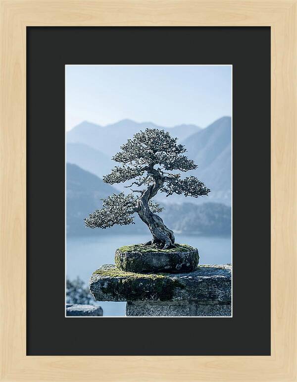 Bonsai Serenity Amidst Nature