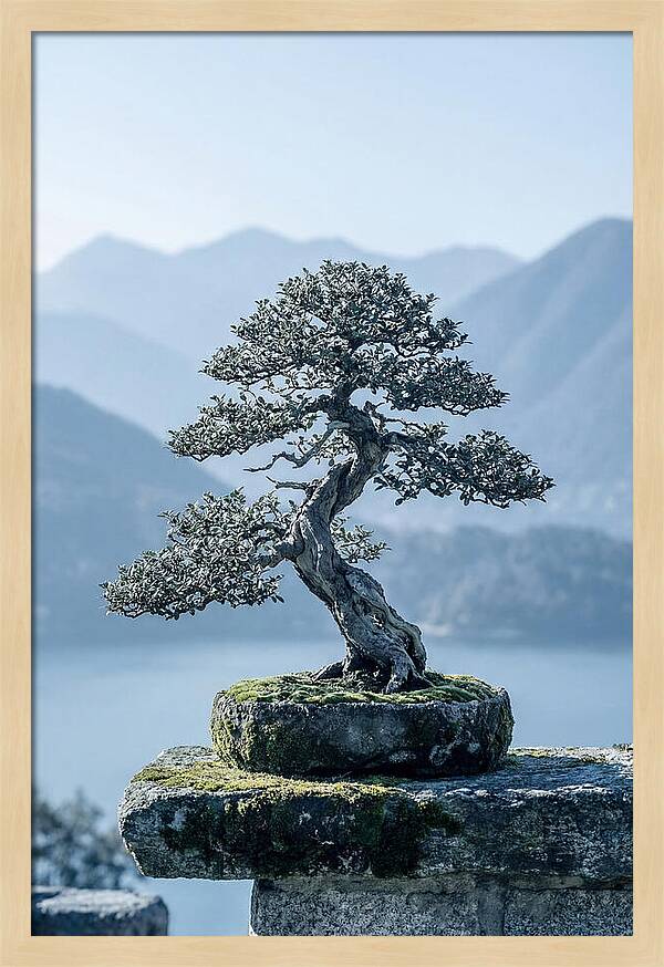 Bonsai Serenity Amidst Nature