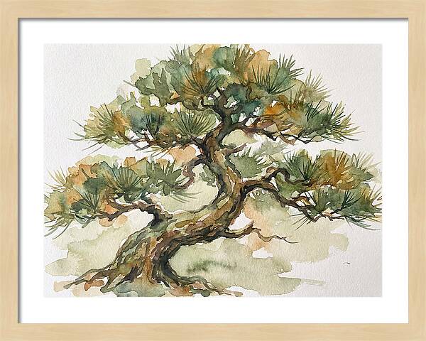 Bonsai Serenity In Watercolor