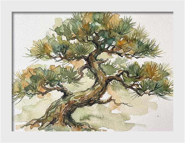 Bonsai Serenity In Watercolor