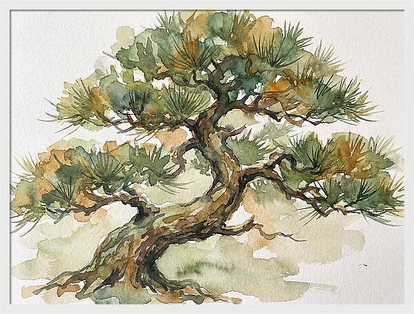 Bonsai Serenity In Watercolor