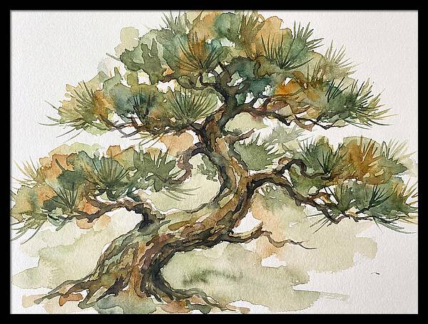 Bonsai Serenity In Watercolor