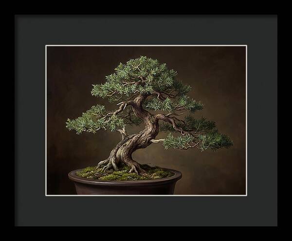 Bonsai Tree Elegance