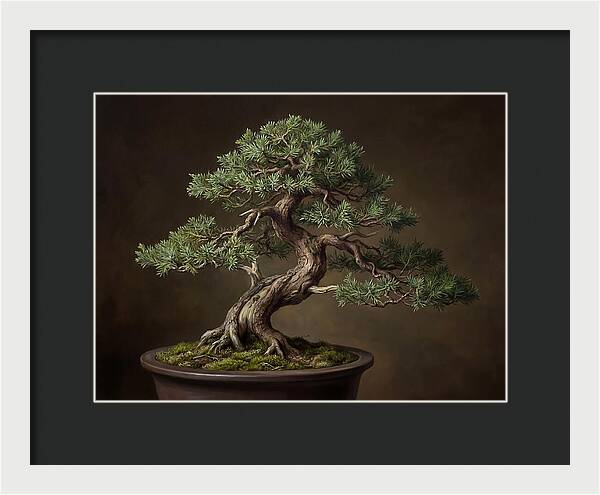 Bonsai Tree Elegance