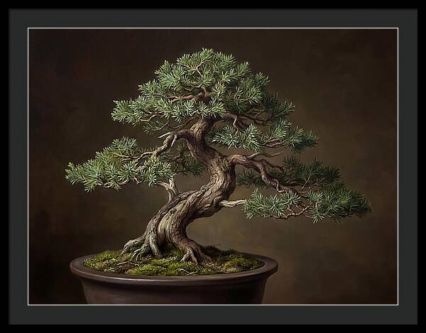 Bonsai Tree Elegance