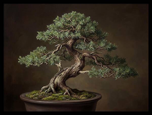 Bonsai Tree Elegance