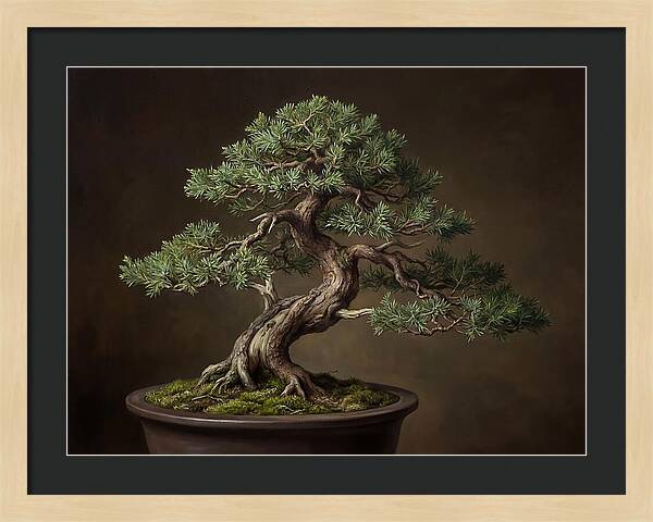 Bonsai Tree Elegance