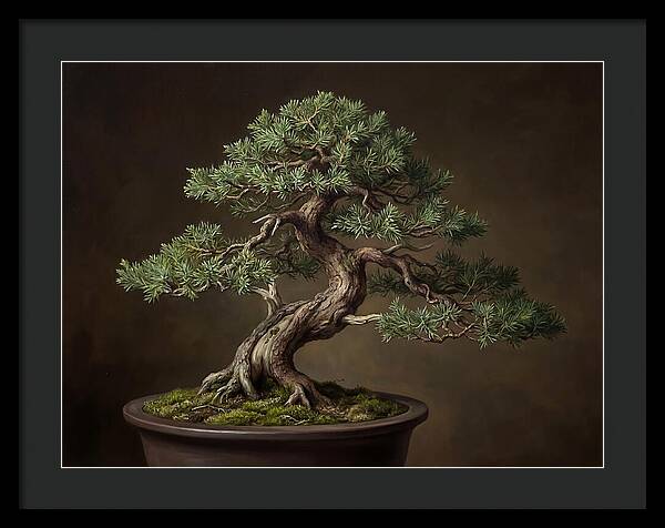 Bonsai Tree Elegance