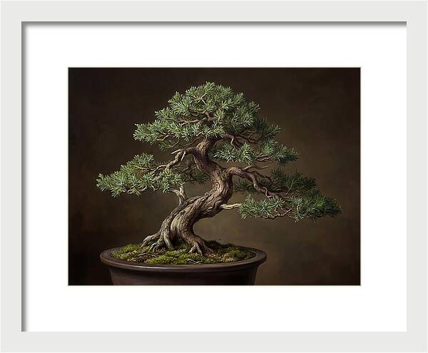 Bonsai Tree Elegance