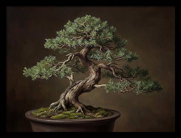 Bonsai Tree Elegance