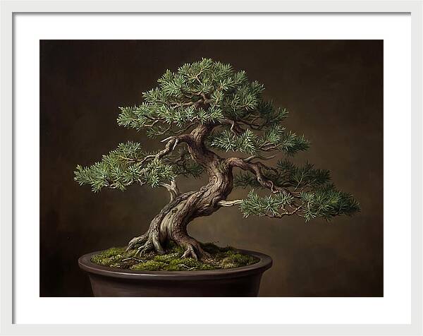 Bonsai Tree Elegance