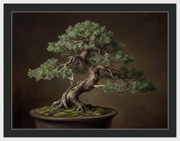 Bonsai Tree Elegance