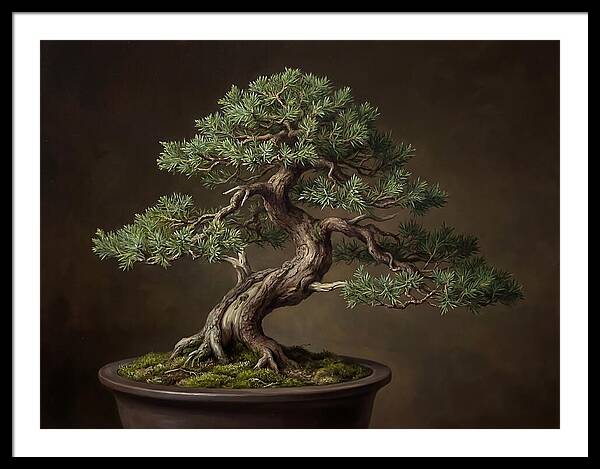 Bonsai Tree Elegance