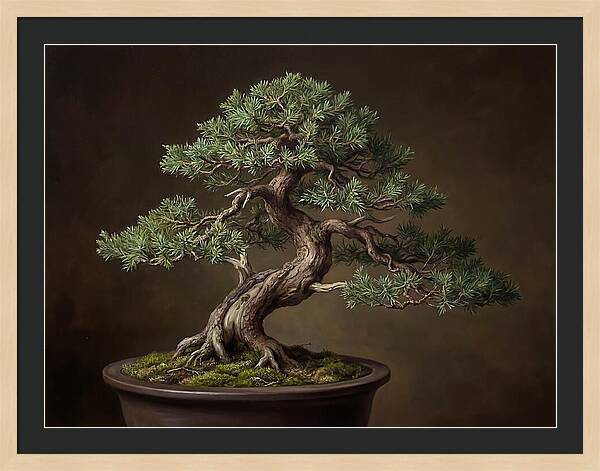 Bonsai Tree Elegance