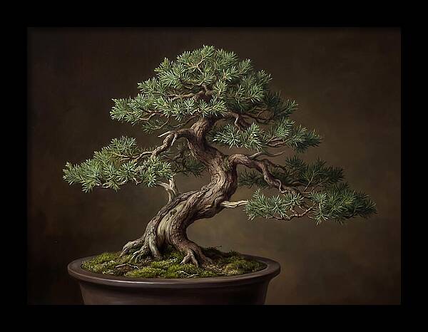 Bonsai Tree Elegance
