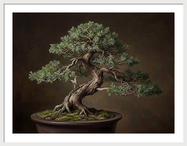 Bonsai Tree Elegance
