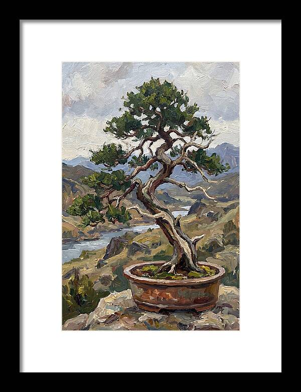 Bonsai Tree Tranquility