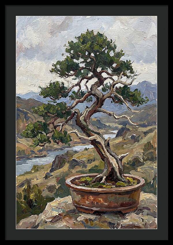 Bonsai Tree Tranquility